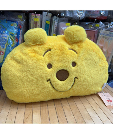 Winnie the Pooh 維尼熊 大咕𠱸 靠墊